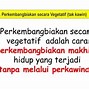 Perkembangbiakan Dengan Cara Stolon